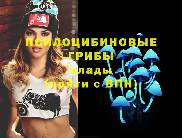 марки nbome Алексеевка