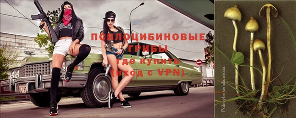 apvp Алзамай