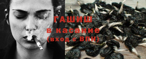 apvp Алзамай