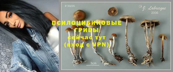 марки nbome Алексеевка