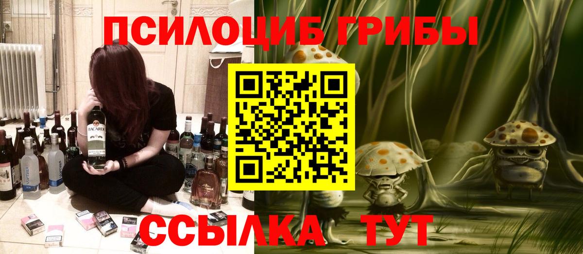 Алексин  Псилоцибиновые грибы мухоморы  купить закладку  Вход с VPN 
